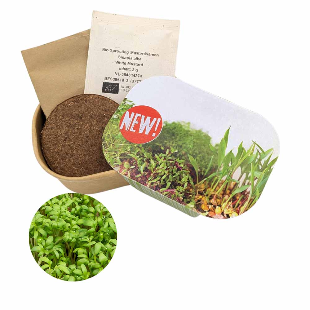 Microgreen Samen Pflanzset (klein)