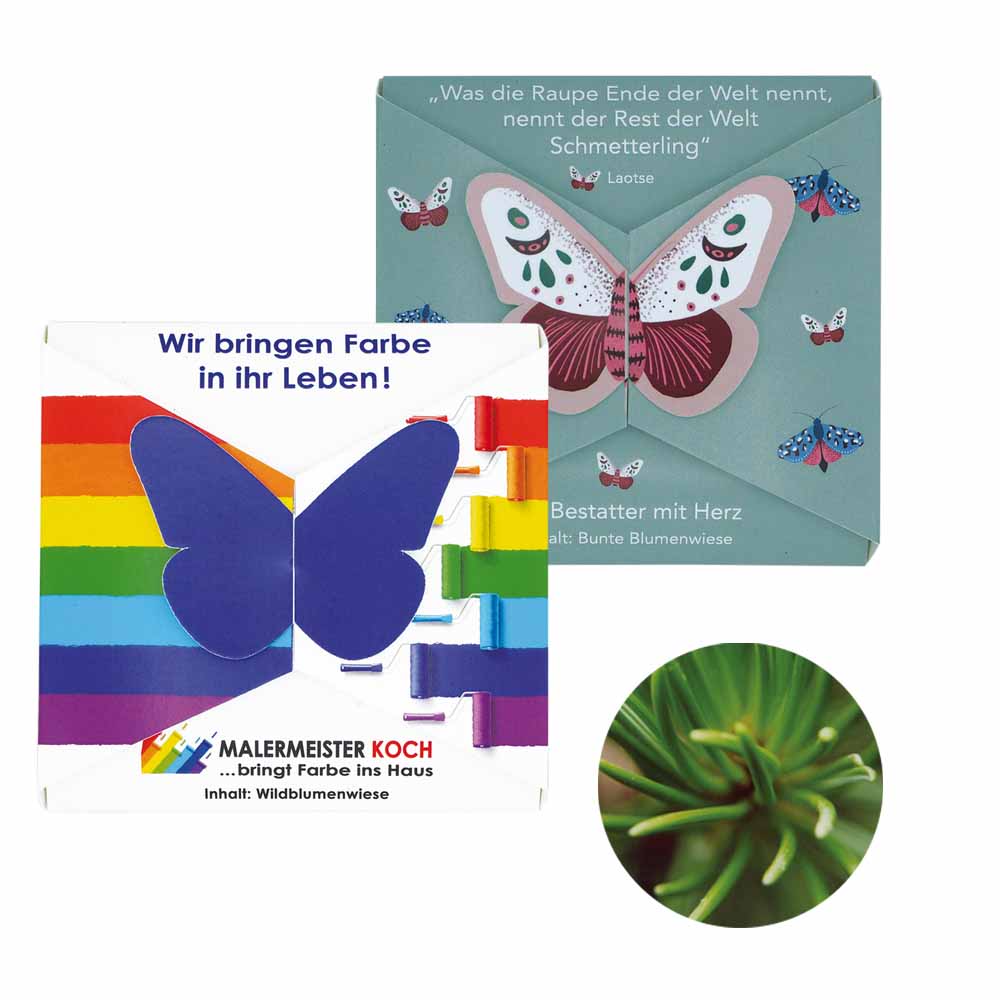 Verschluss - Samenkarte Schmetterling