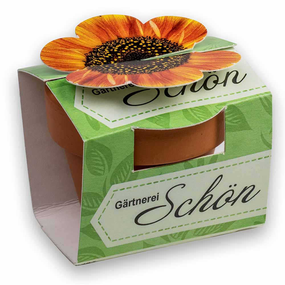 Tontöpfchen-Blume mit Samen - Ostern
