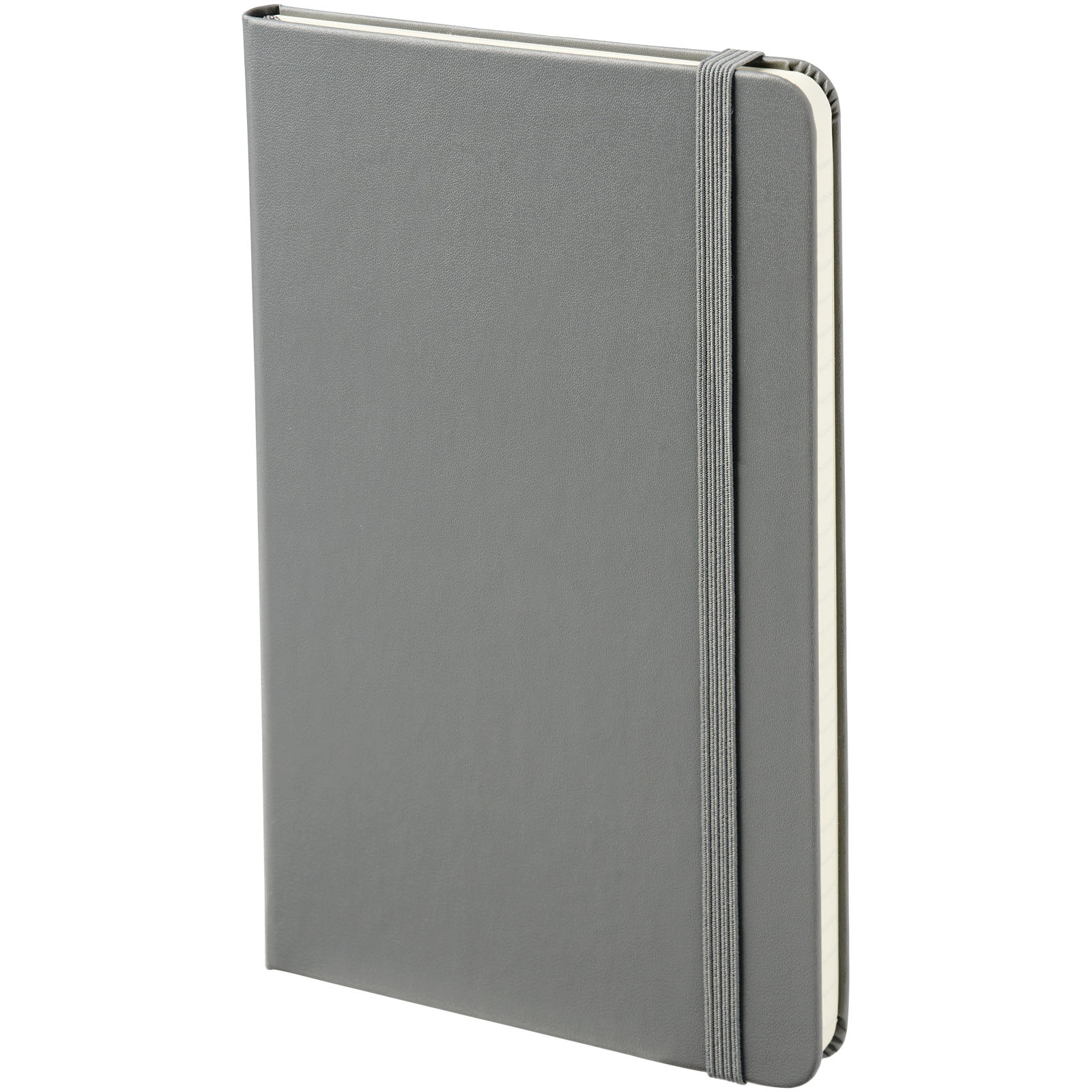 Moleskine Classic Hardcover Notizbuch M – liniert schiefergrau
