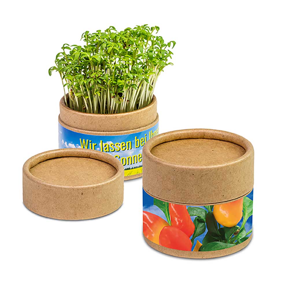 Pflanz-Cup mit Samen