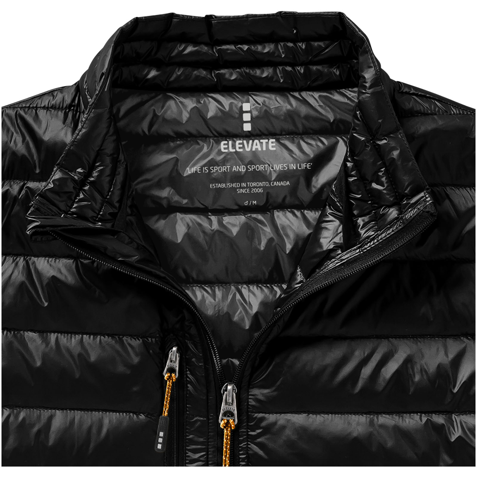 Scotia leichter Daunen-Bodywarmer für Herren schwarz