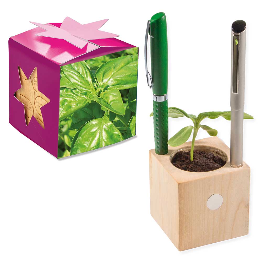 Pflanz-Holz Büro Star-Box mit Samen