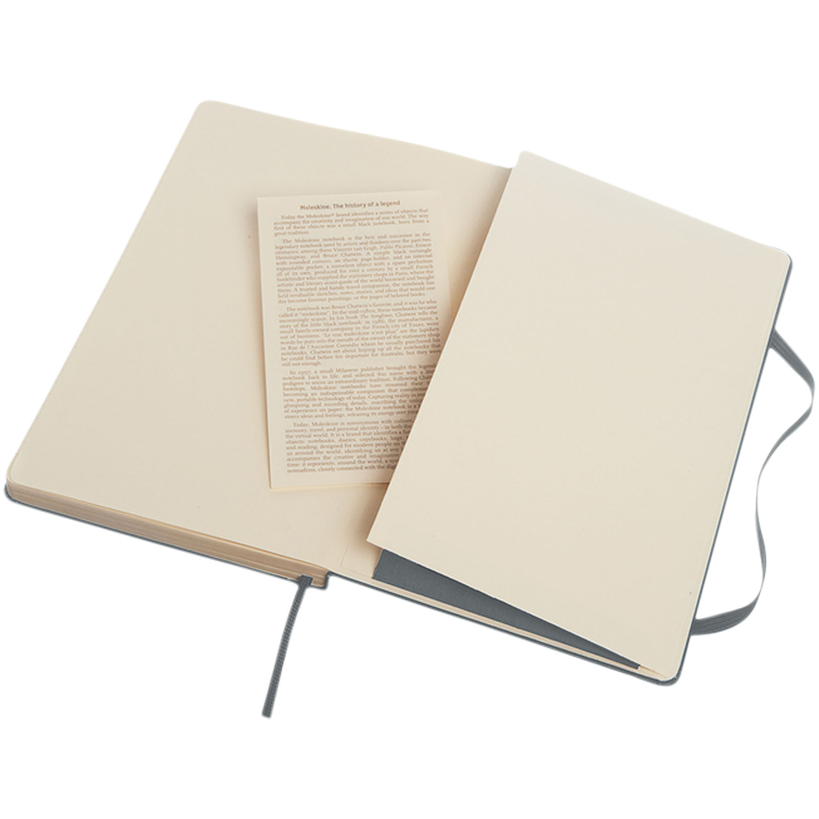 Moleskine Classic Hardcover Notizbuch L – liniert schiefergrau