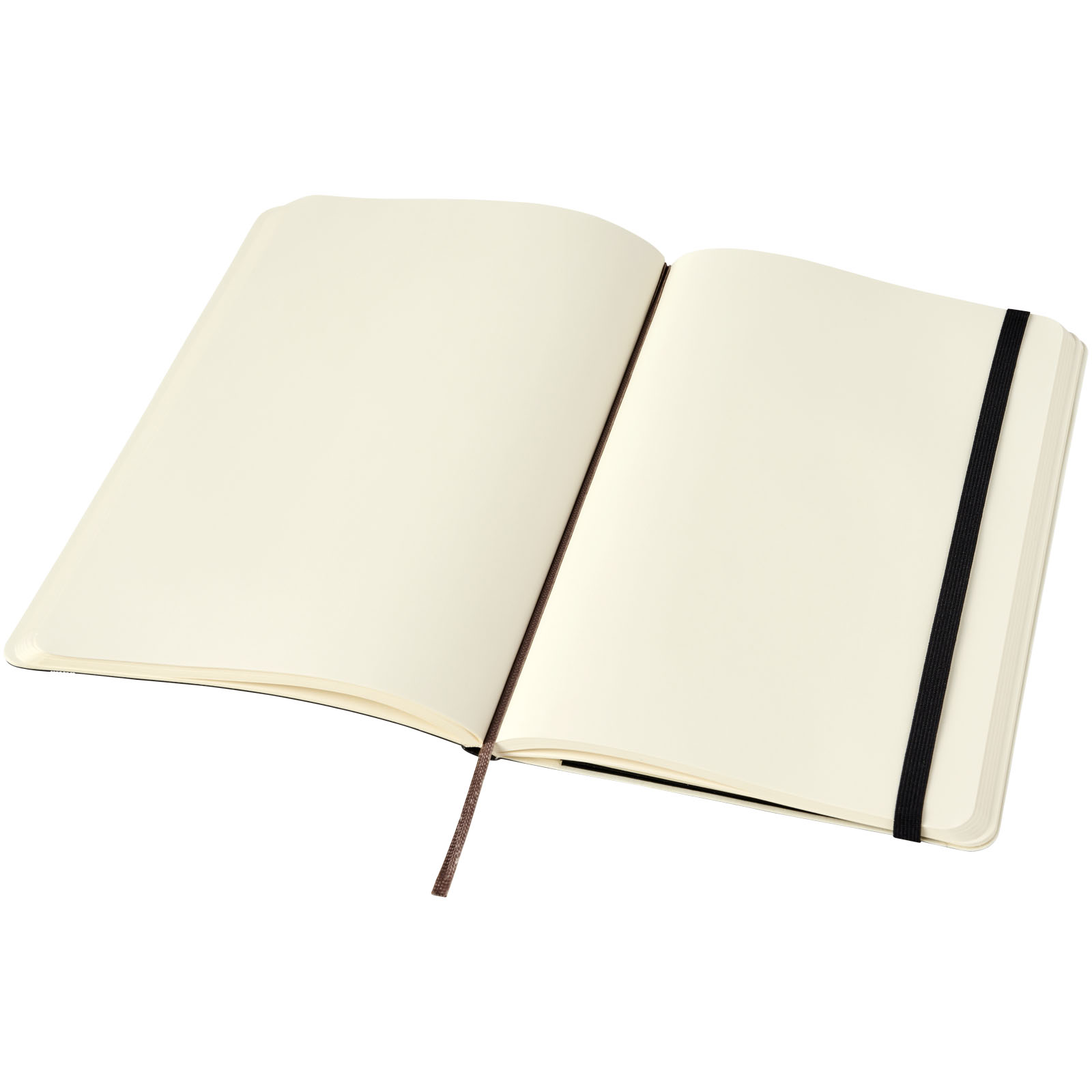 Moleskine Classic Softcover Notizbuch L – blanko schwarz