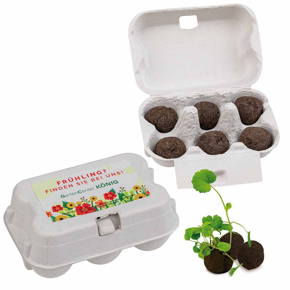 Sixpack - Flower-Balls Midi mit Samen mit Samen