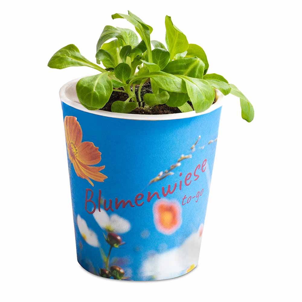 Blumenwiese To-Go - Ostern