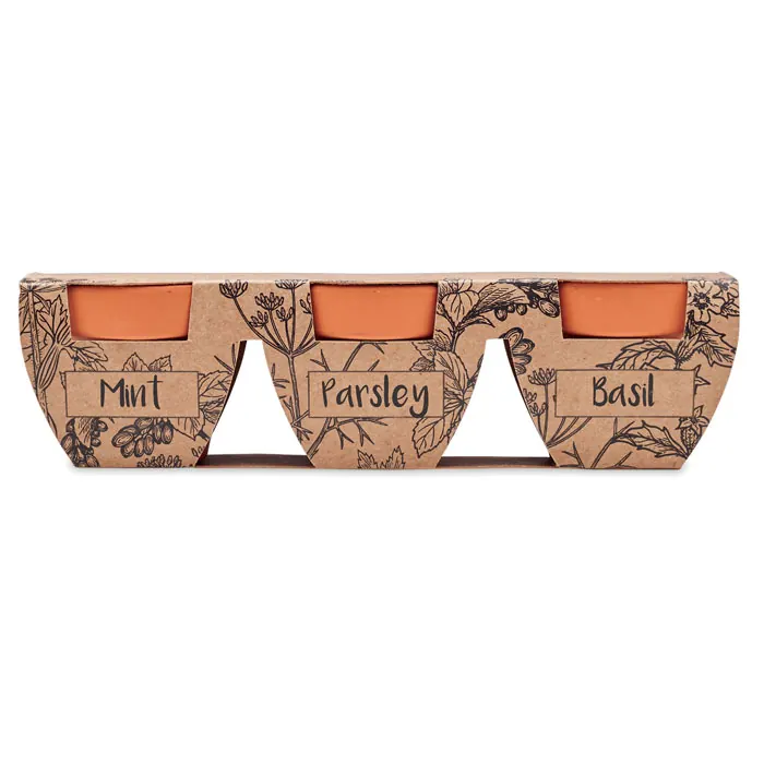 Terracotta-Set Kräuter