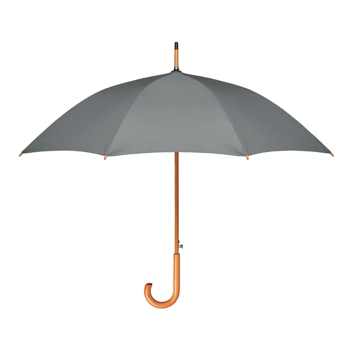 Regenschirm