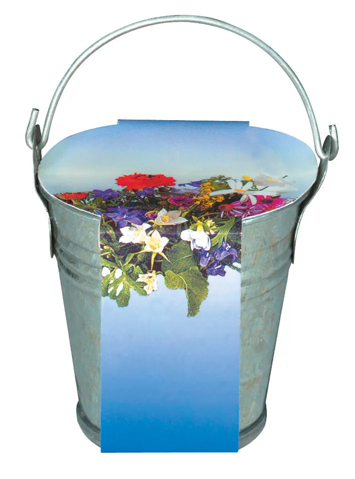 Zinkeimerchen Bunte Blumenmischung