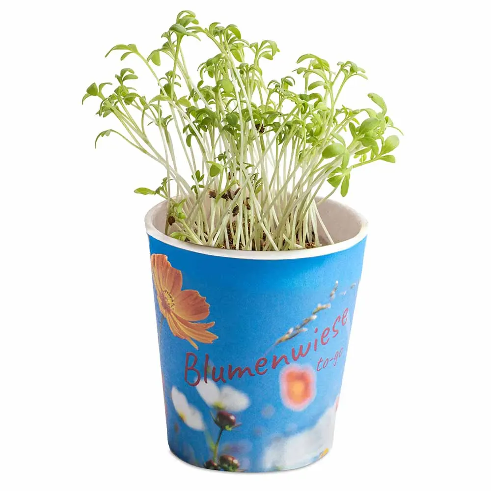 Blumenwiese To-Go - Ostern