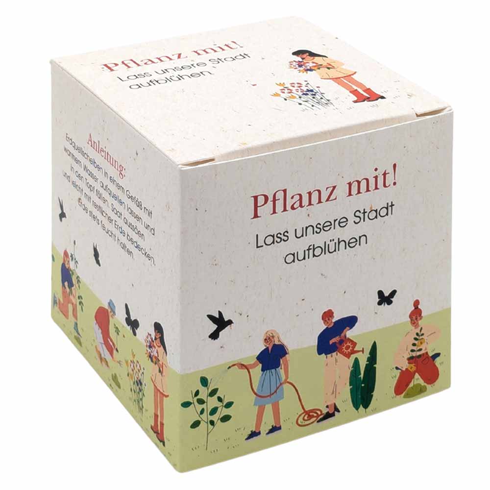 Würfel Samenpflanzset (groß)