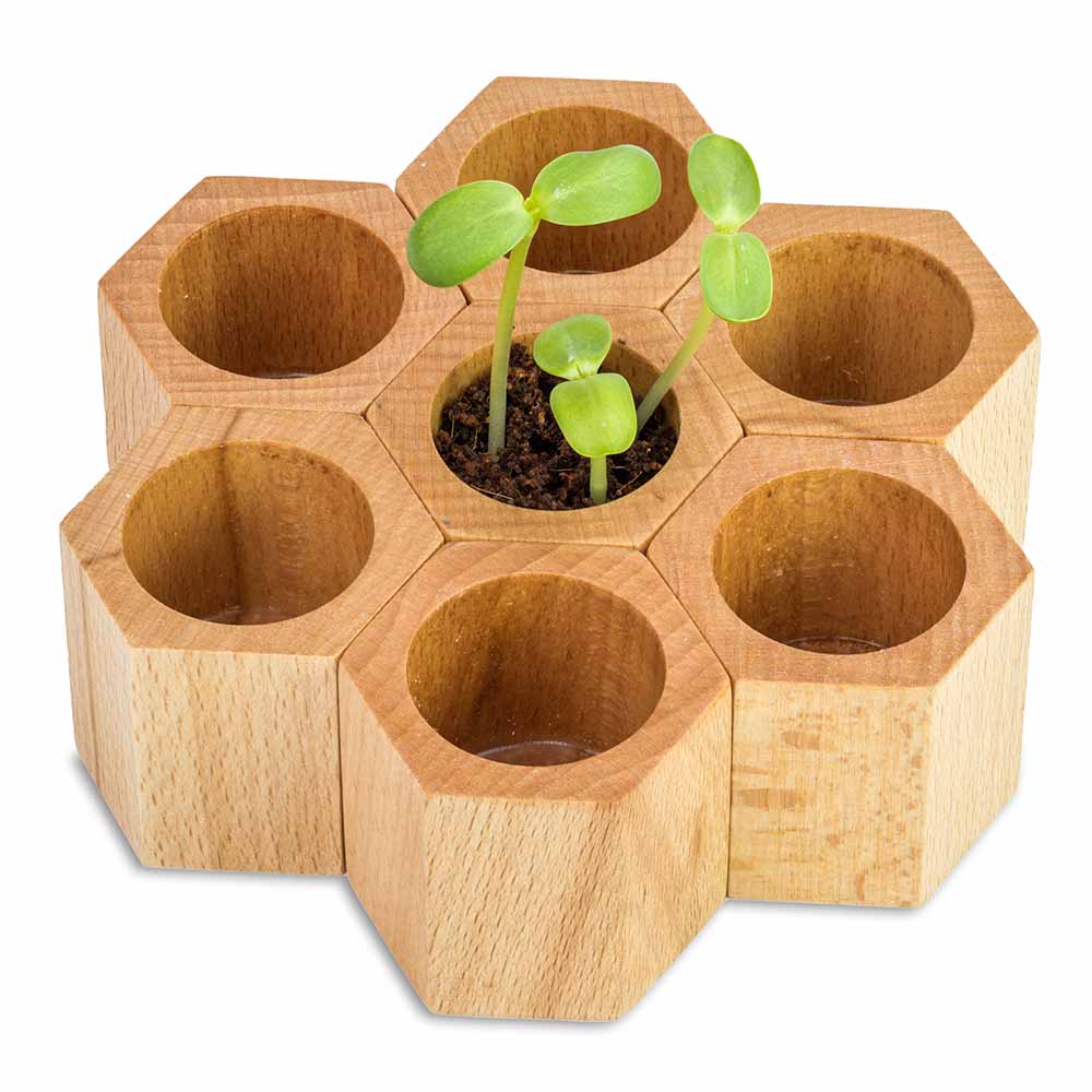 Pflanz-Holz Hexagon mit Samen - Ostern