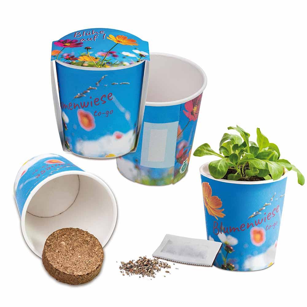 Blumenwiese To-Go