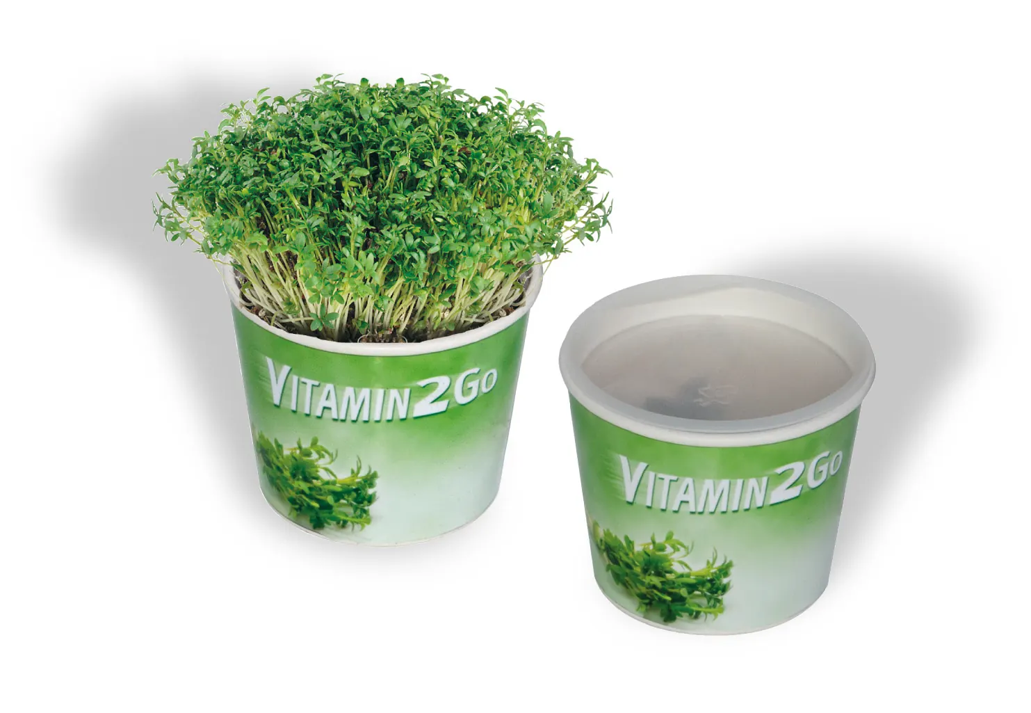 Vitamin 2Go