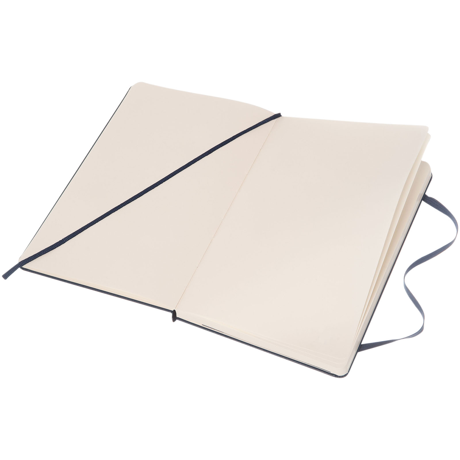 Moleskine Classic Hardcover Notizbuch L – blanko saphir