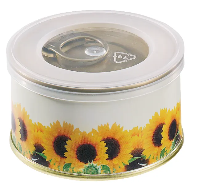 Minigarten Sonne ohne Magnet