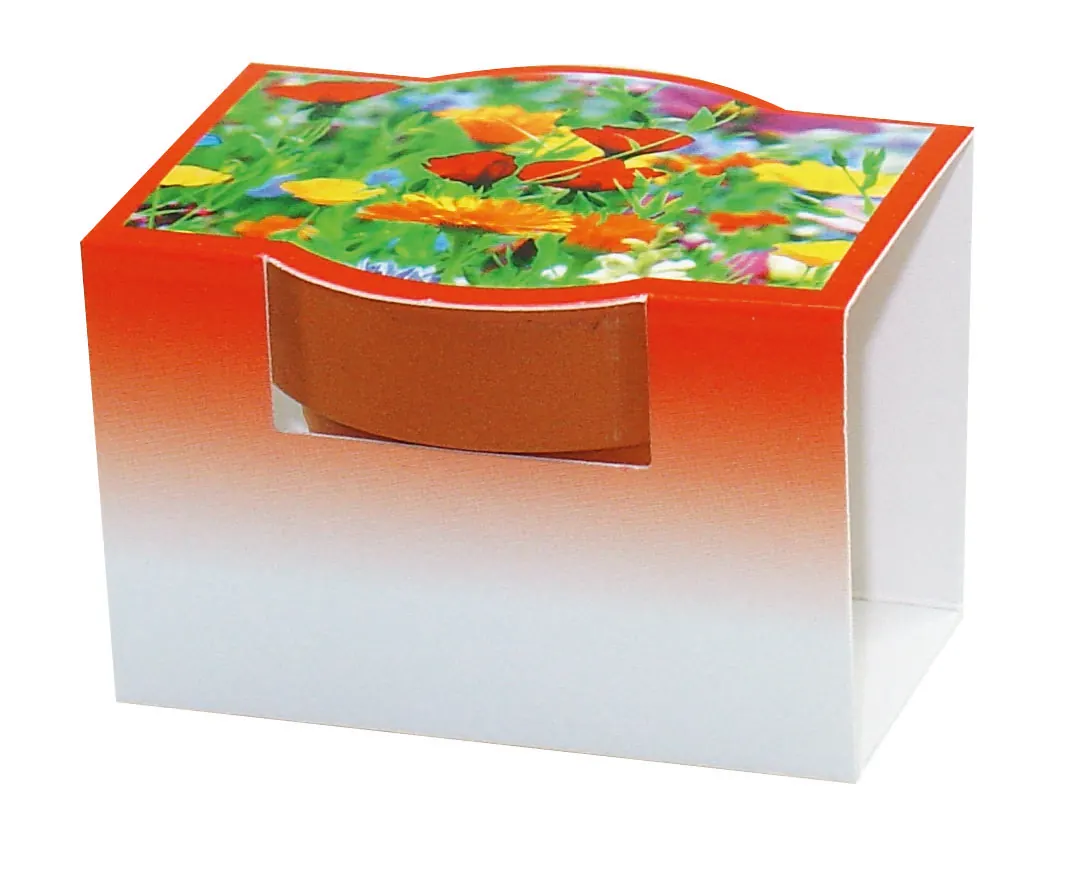 Tontöpfchen Bunte Blumenmischung