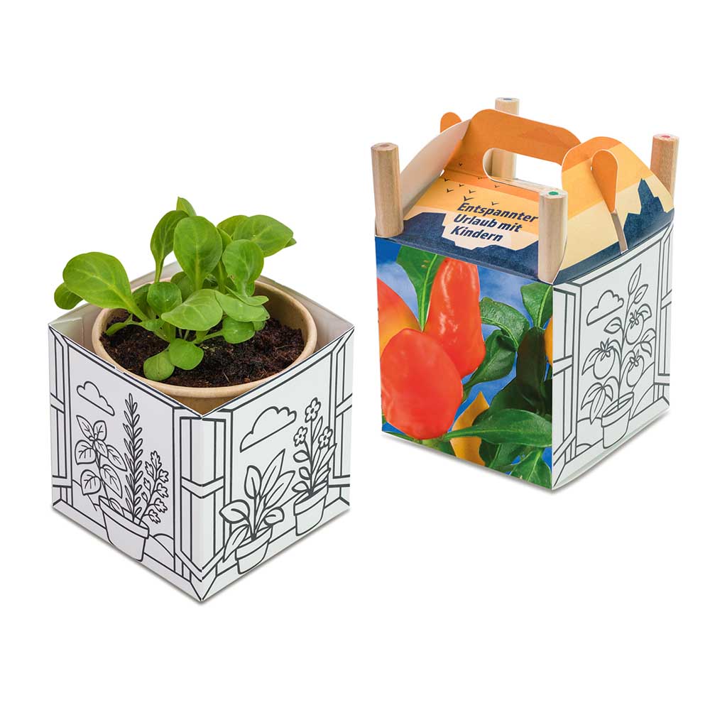Colour & Grow House - Ostern