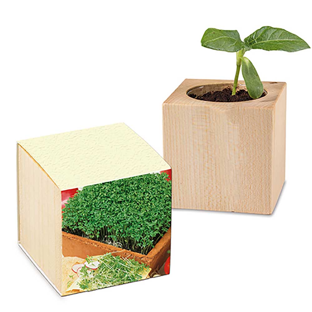 Pflanz-Holz mit Samen (Graspapier-Banderole)