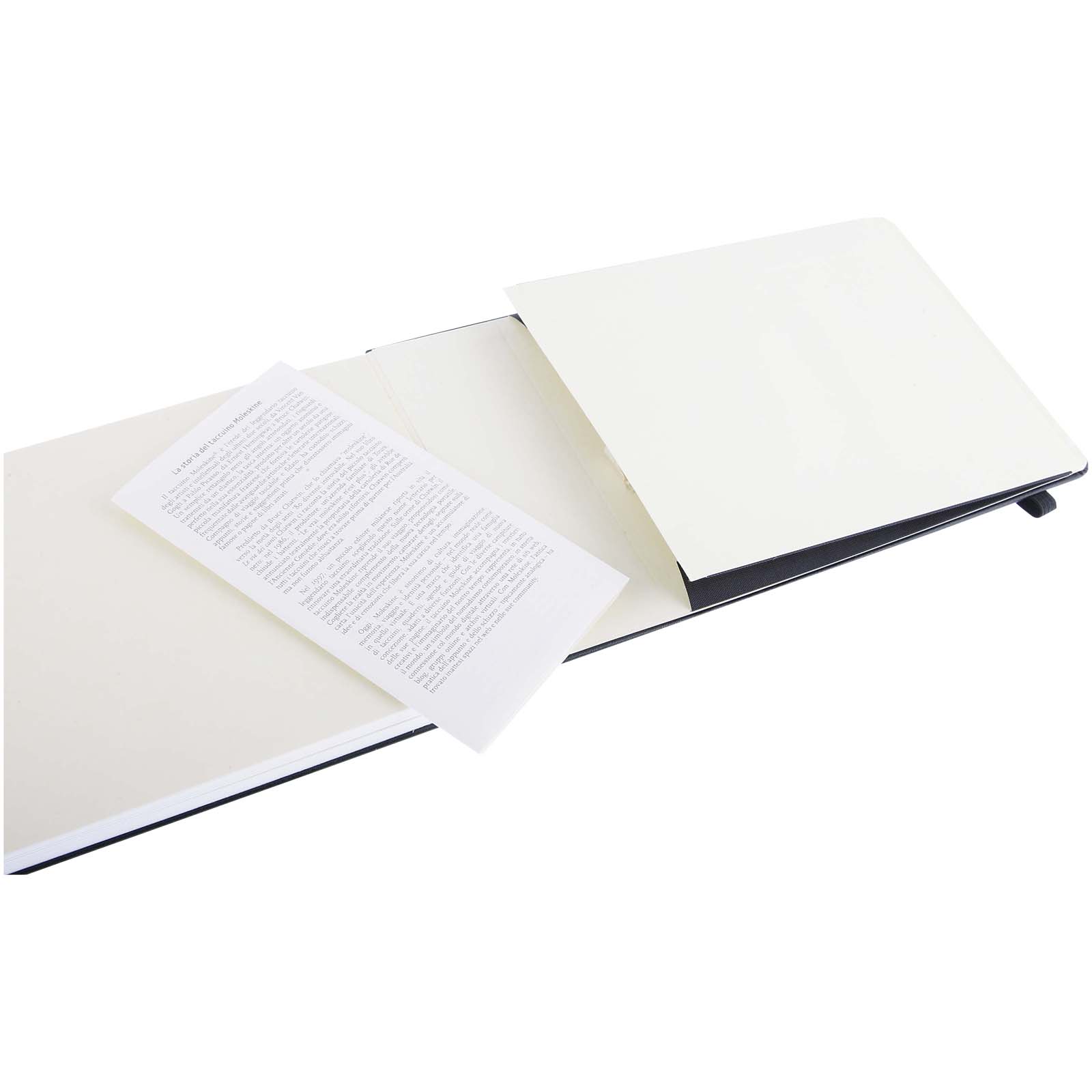 Moleskine Large Art Aquarellbuch schwarz