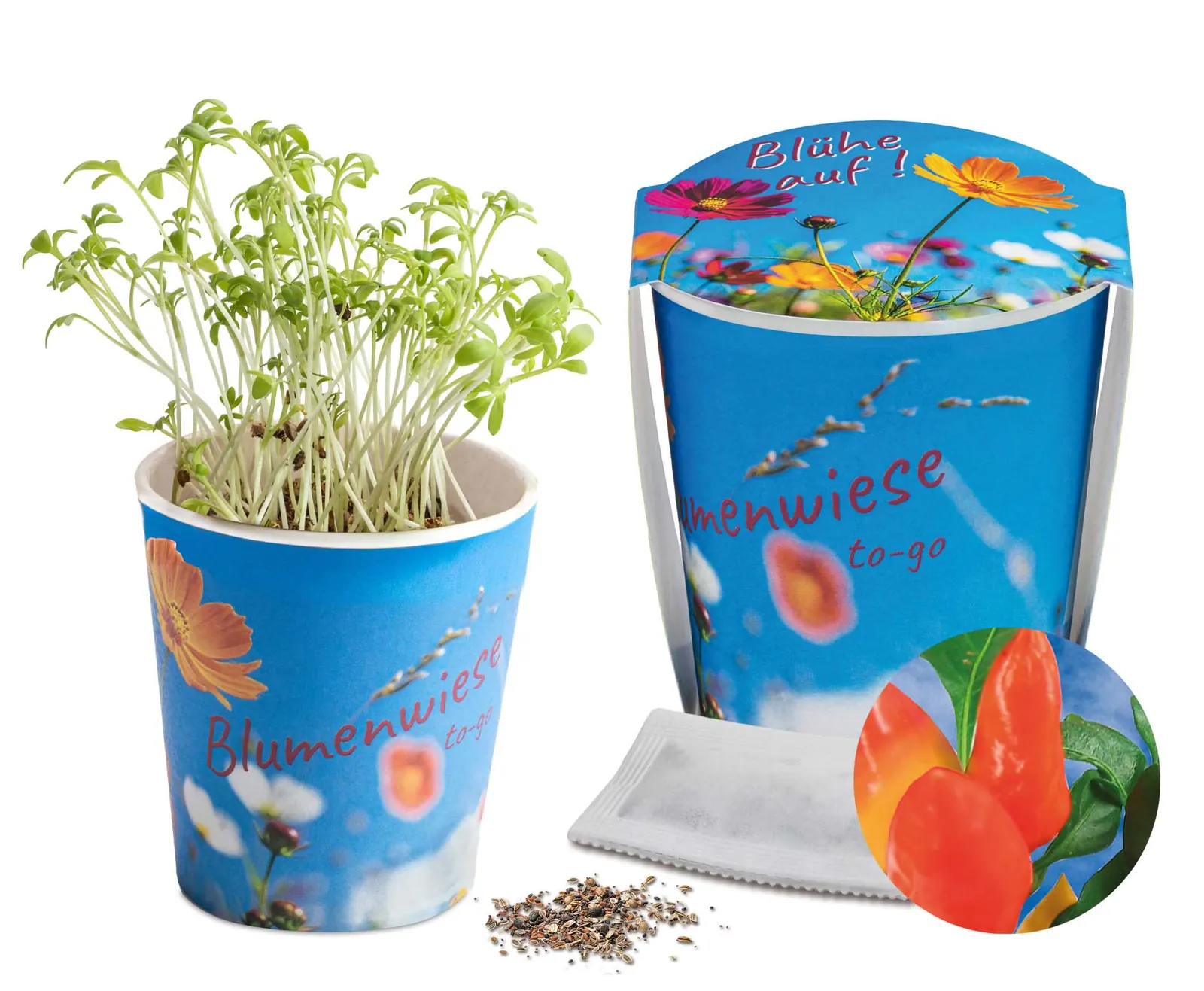 Blumenwiese To-Go - Ostern