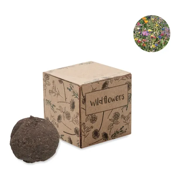 Saat-Set Wildblumen