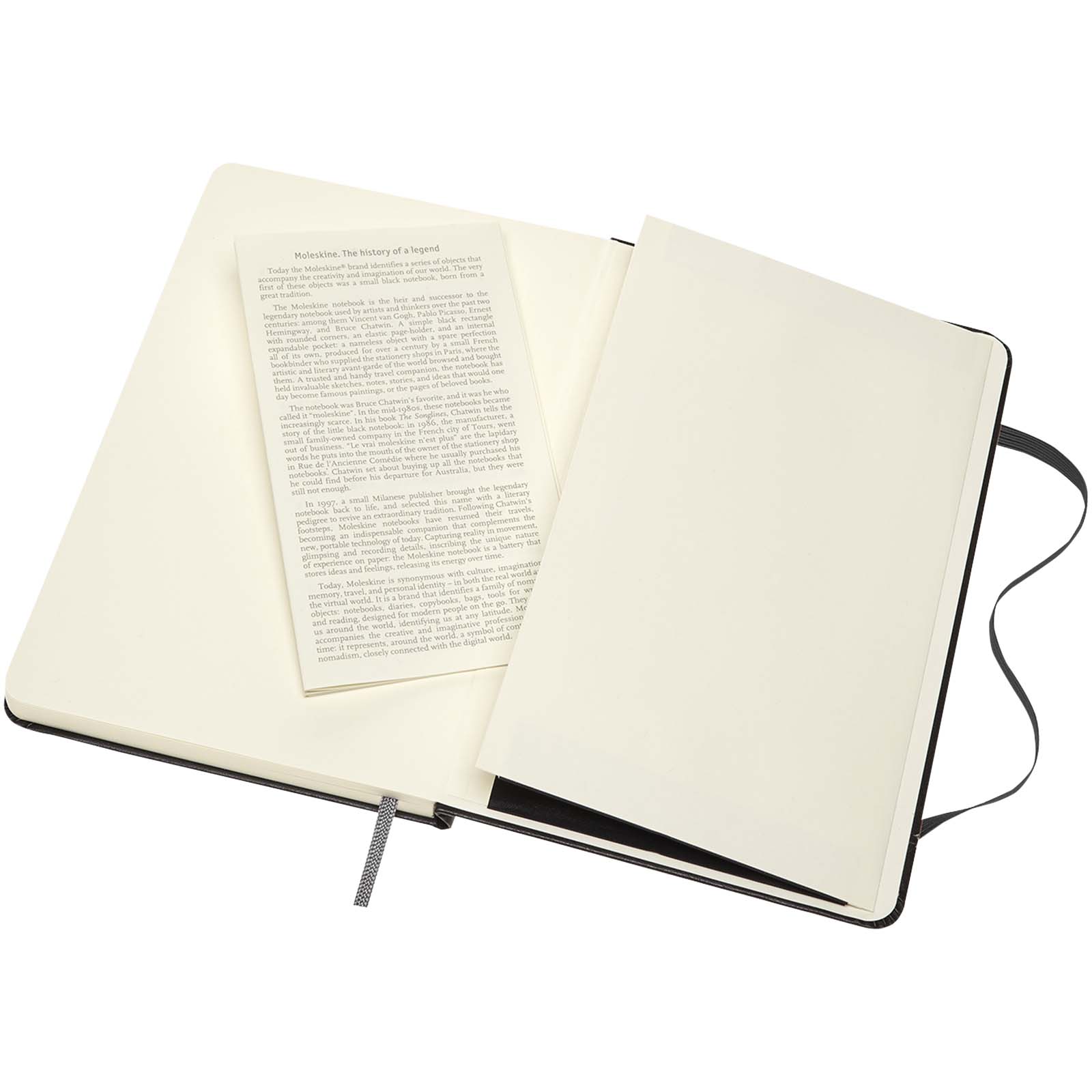 Moleskine Medium Art Skizzenbuch schwarz