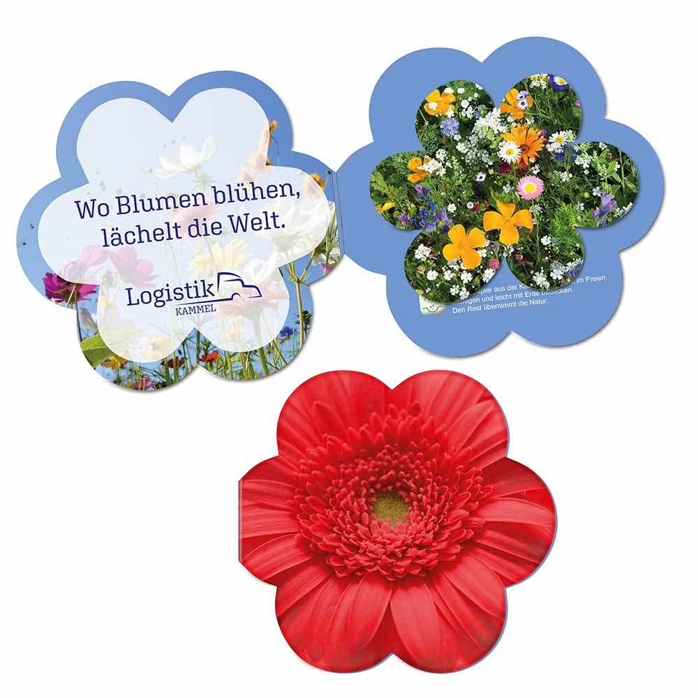Samenpapier in Klappkärtchen Blume