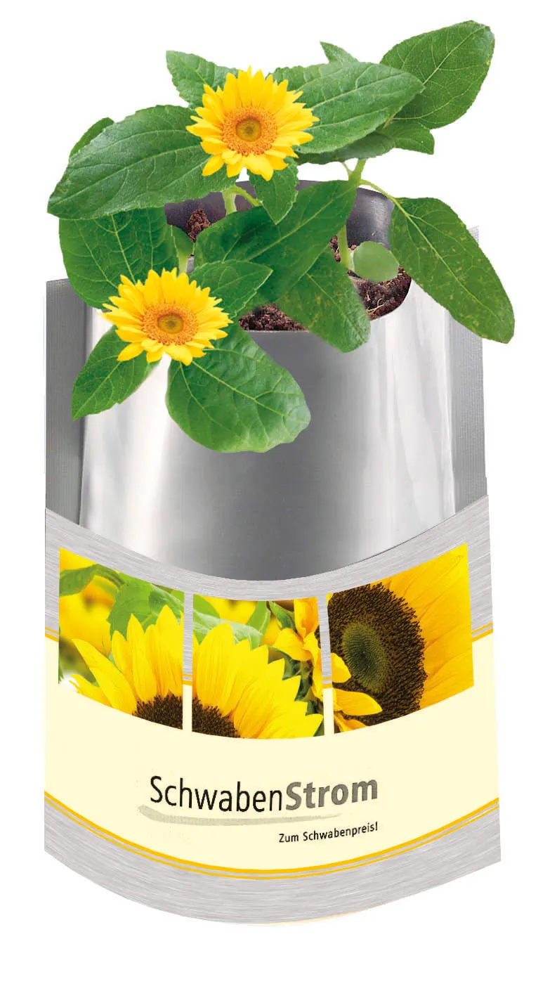 Plant-Bag Sonne