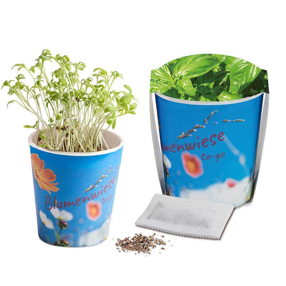 Blumenwiese To-Go