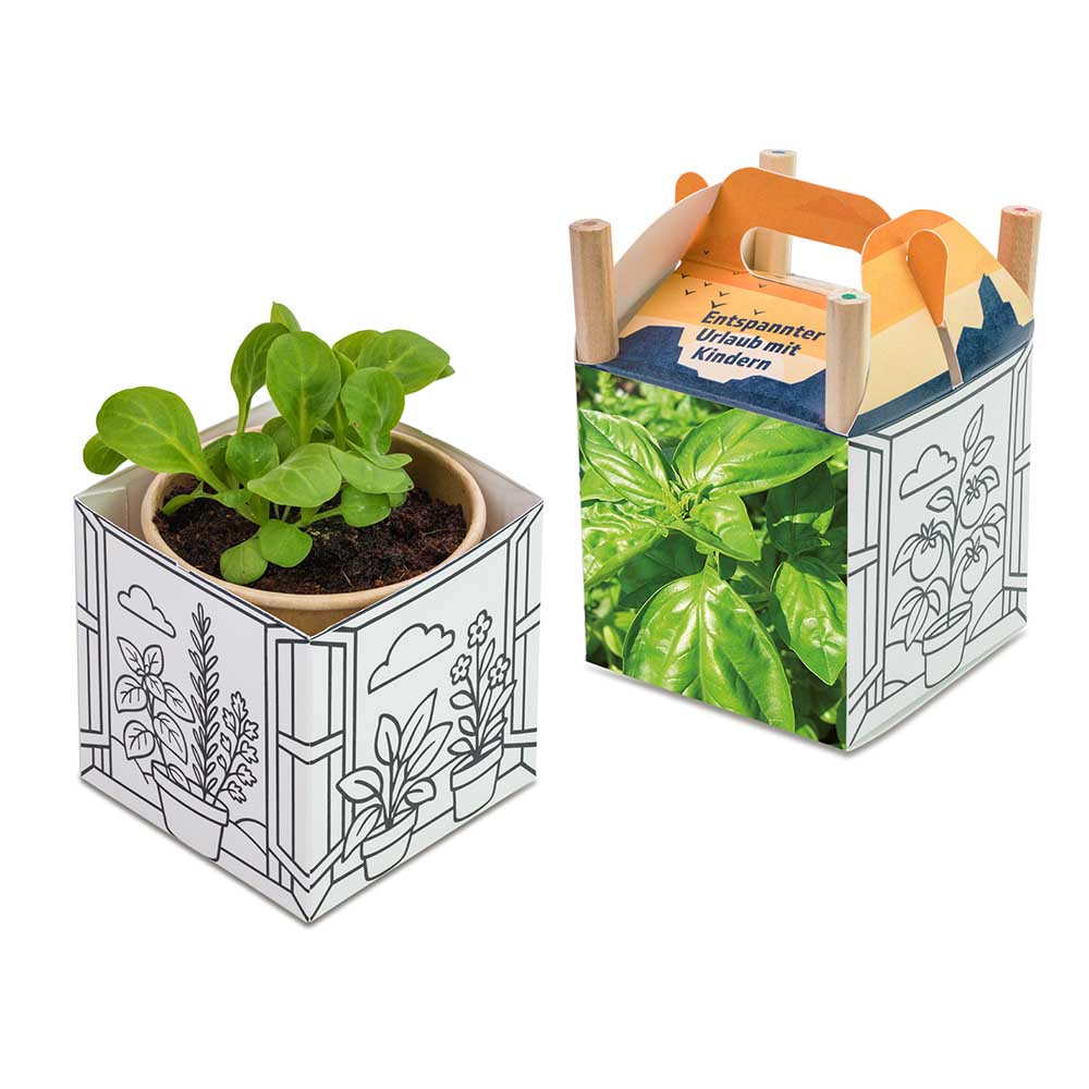 Colour & Grow House