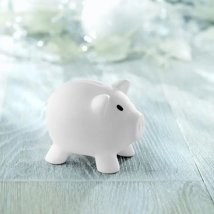 Sparschwein