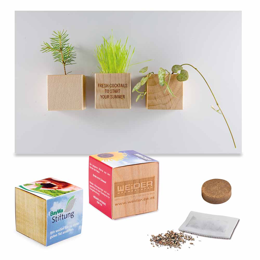 Pflanz-Holz Magnet mit Samen