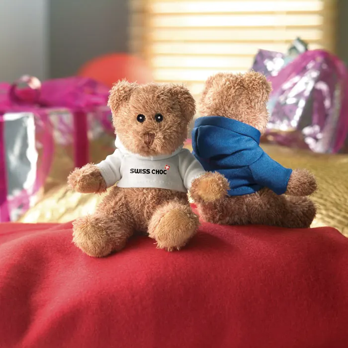 Teddybär mit Hoody 