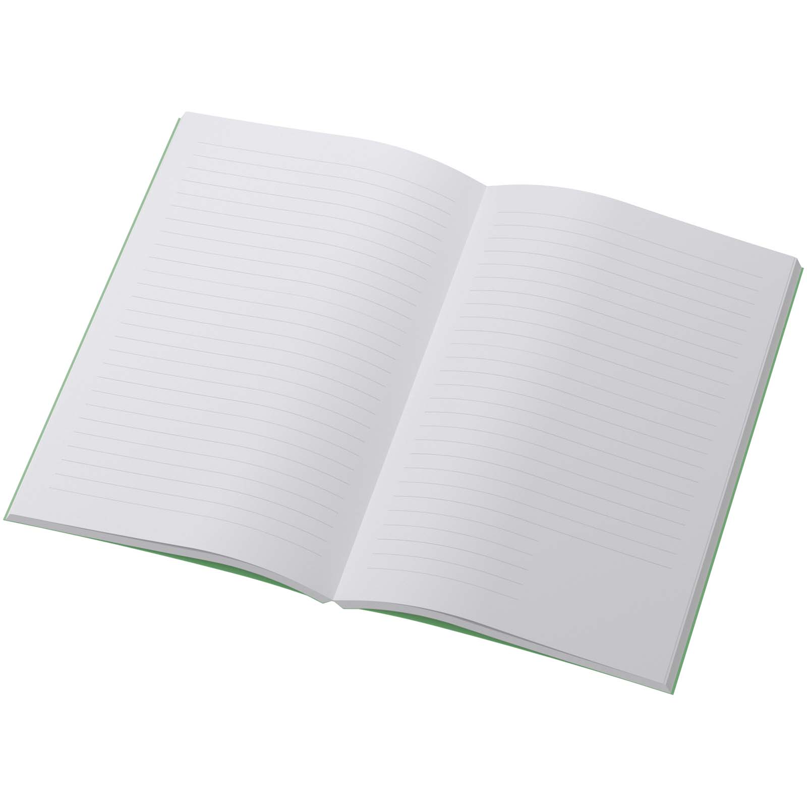 Scribe Plus A5 recyceltes Softcover Notizbuch grün