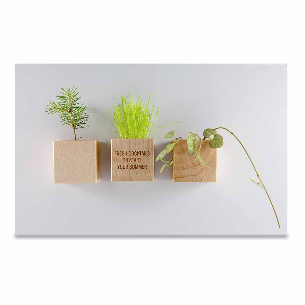 Pflanz-Holz Magnet mit Samen