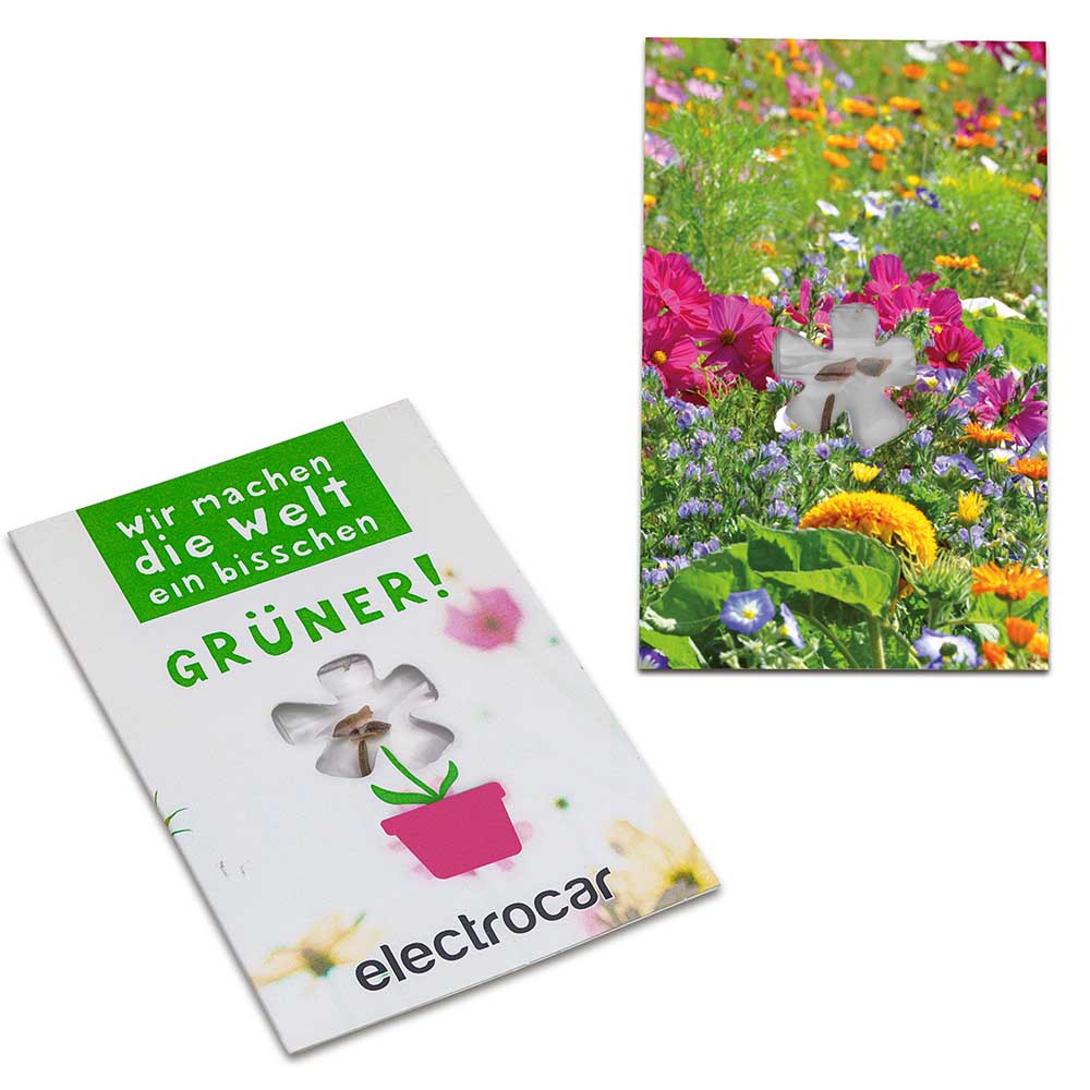 Samen-Karte-Mini Blume