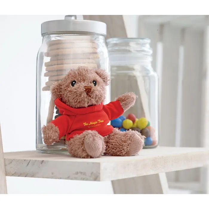 Teddybär mit Hoody 
