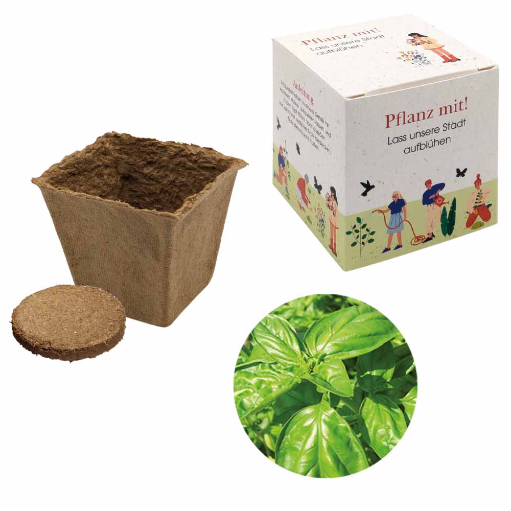 Würfel Samenpflanzset (groß)
