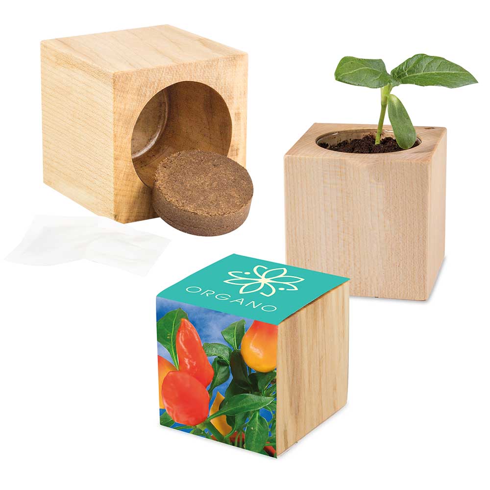 Pflanz-Holz Maxi mit Samen
