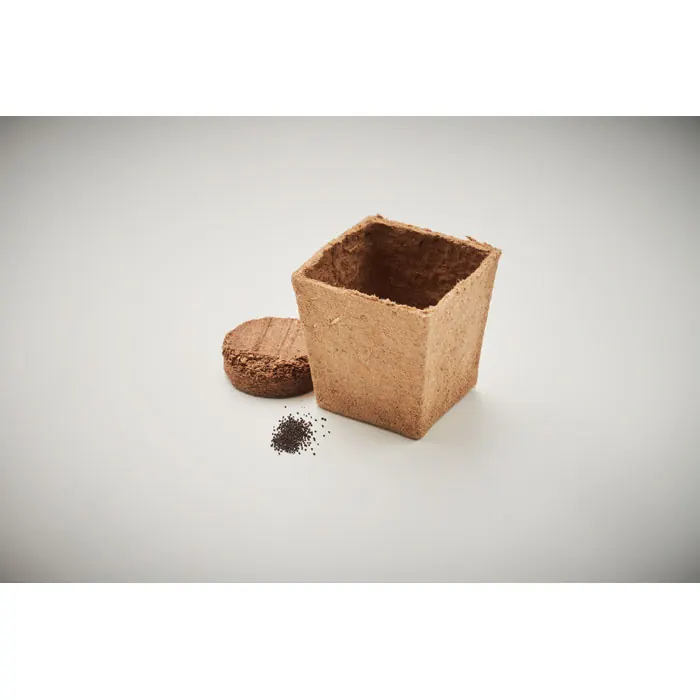 Pflanz-Set Minze