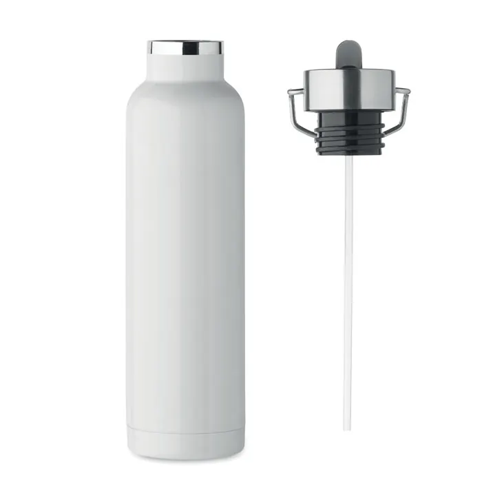 Doppelwandige Flasche 660 ml