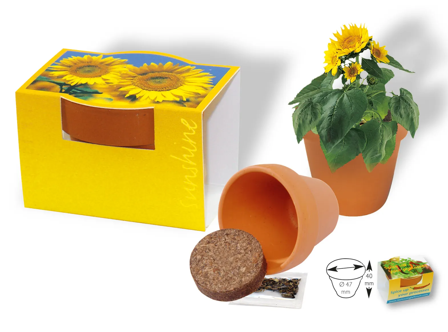 Tontöpfchen Sonne