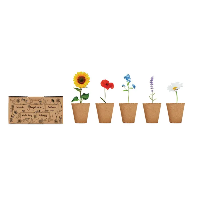 Saat-Set Sommerblumen