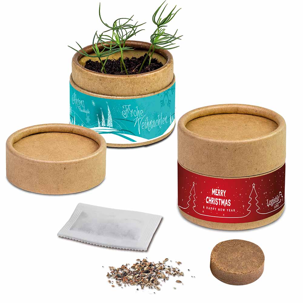Pflanz-Cup mit Samen - Weihnachten