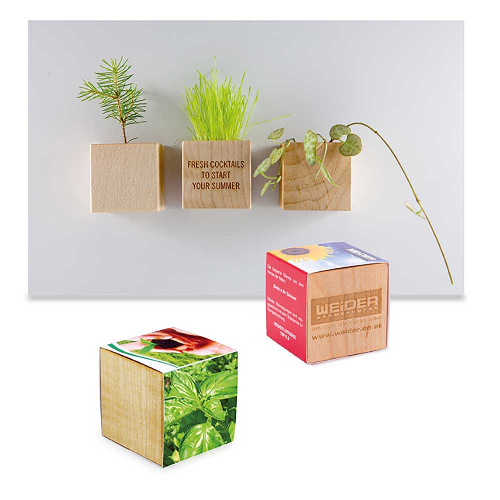 Pflanz-Holz Magnet mit Samen