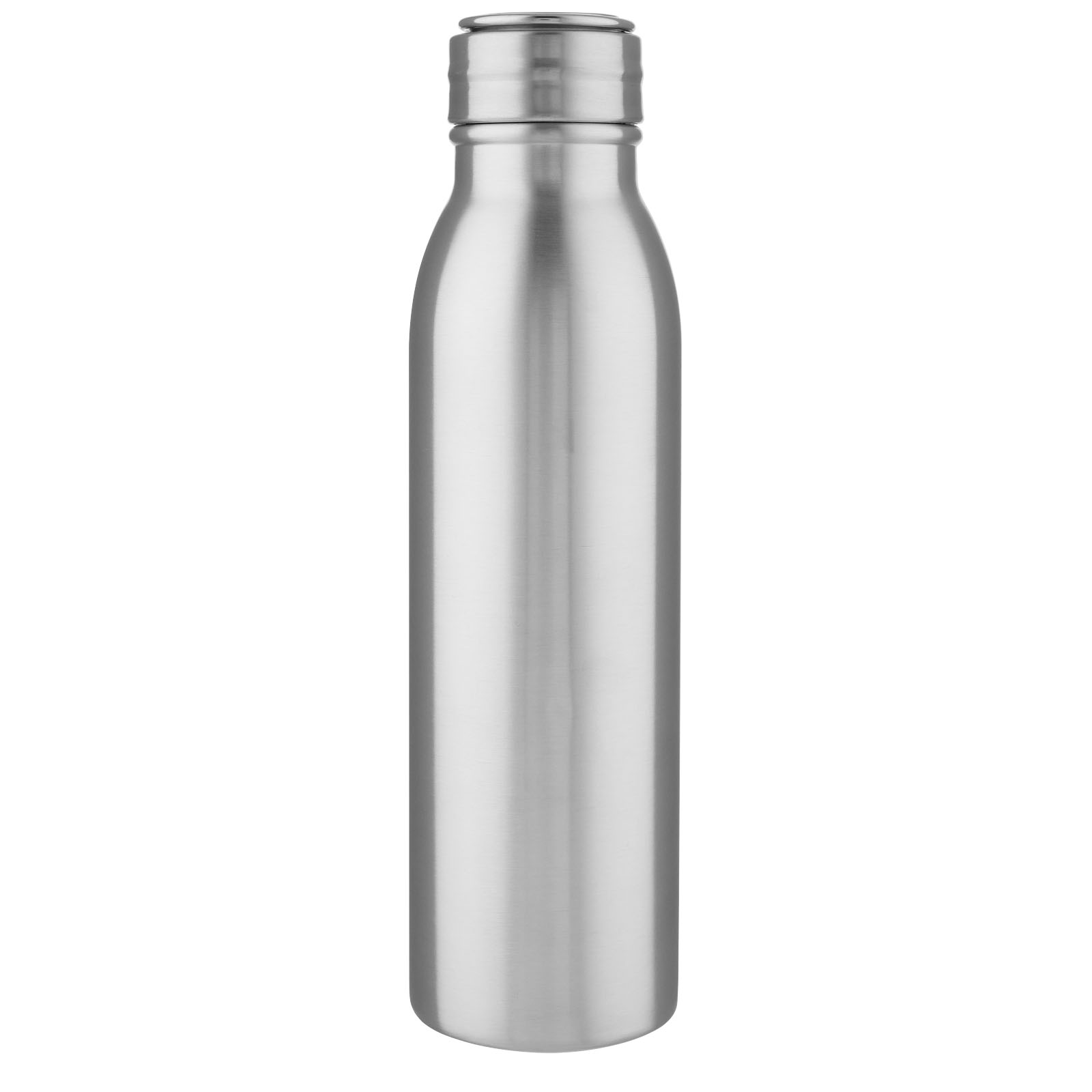 Harper 700 ml Sportflasche aus Edelstahl mit Metallschlaufe silber