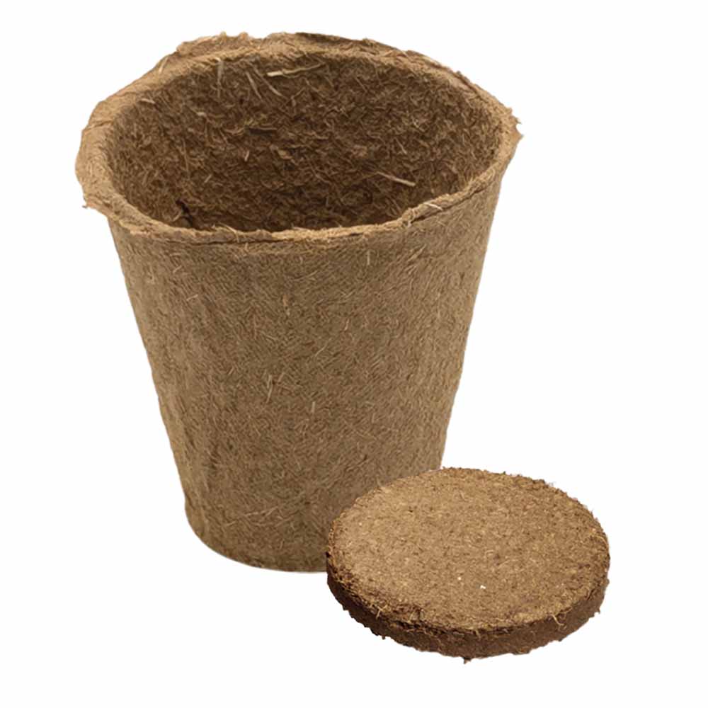 Kräutertöpfchen Samenset