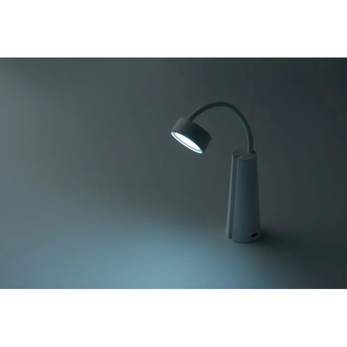 2in1 Lampe